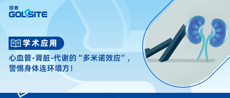 心血管-腎臟-代謝的“多米諾效應(yīng)”，警惕身體連環(huán)塌方！